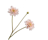 Silk-ka, Dahlie-Zweig apricot, 75 cm