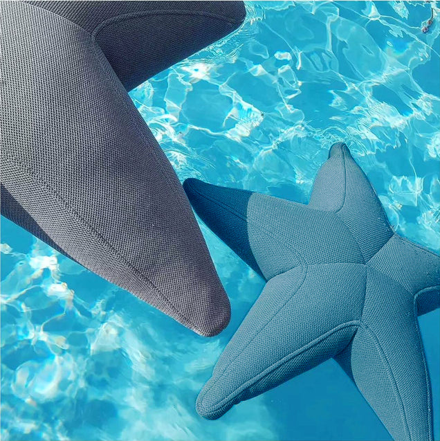 Seestern Starfish von OGO