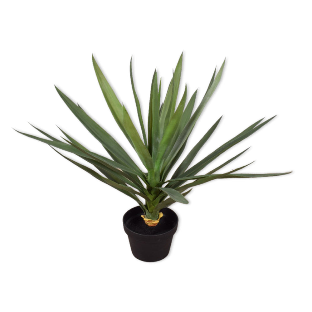 Silk-ka Yucca-Palme im Topf